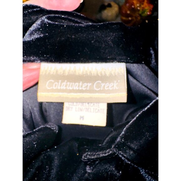 Vintage Coldwater Creek Black Velvet Buttoned Dress M Fairy Goth Wednesday Adams - Picture 7 of 10
